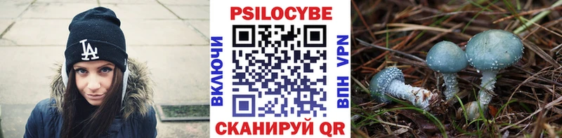 Псилоцибиновые грибы Psilocybe  Саров 